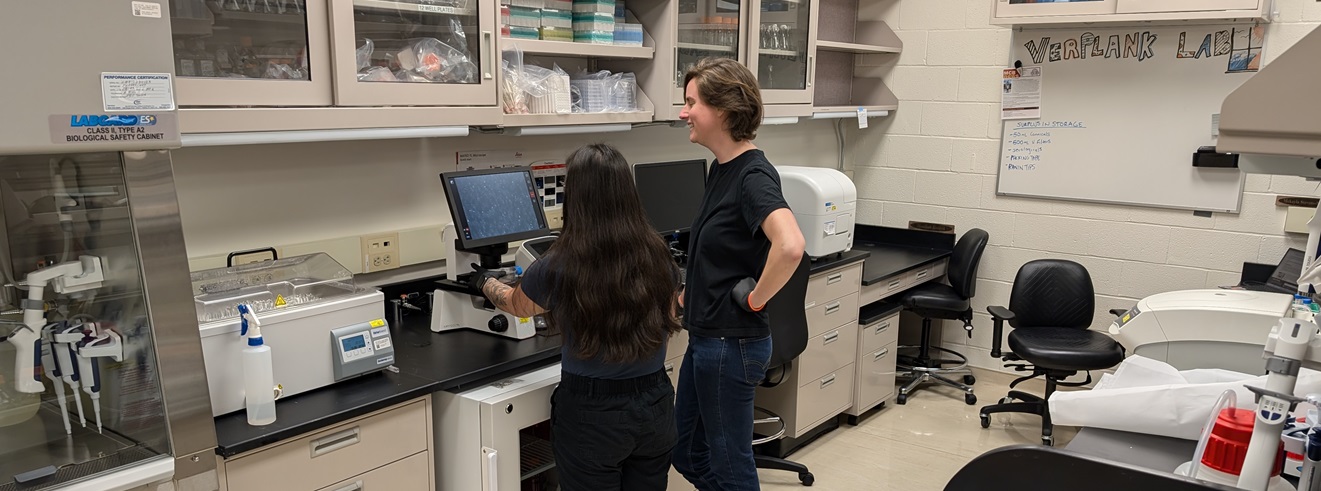 Jordan Verplank lab img