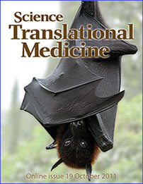 Science Translational Medicine Cover Hendra Antibody
