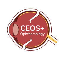 JKSA, CEOS+ logo