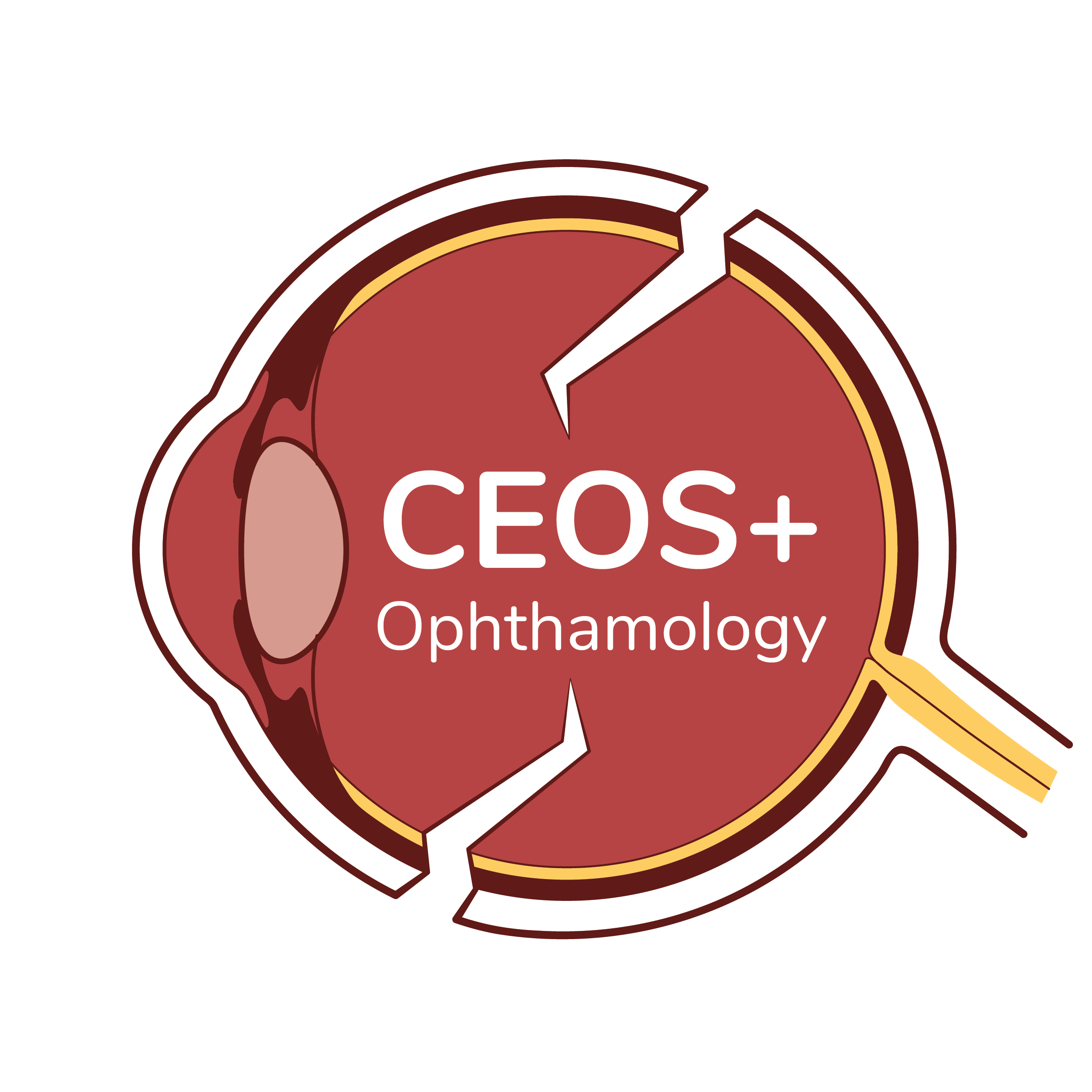 JKSA, CEOS+ logo