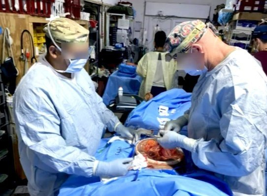 JKSA, Procedural Skills Courses, For Surgical Specialties img 3
