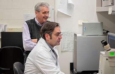 Pharmacology Cox Lab