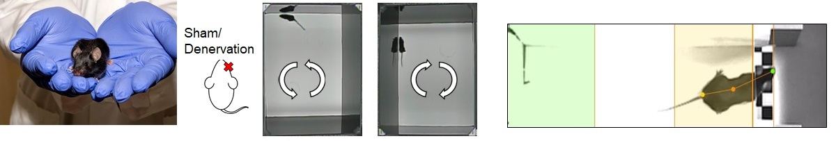 Petrus Lab image 4 - behavior