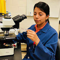 Lab work