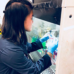 Lab work